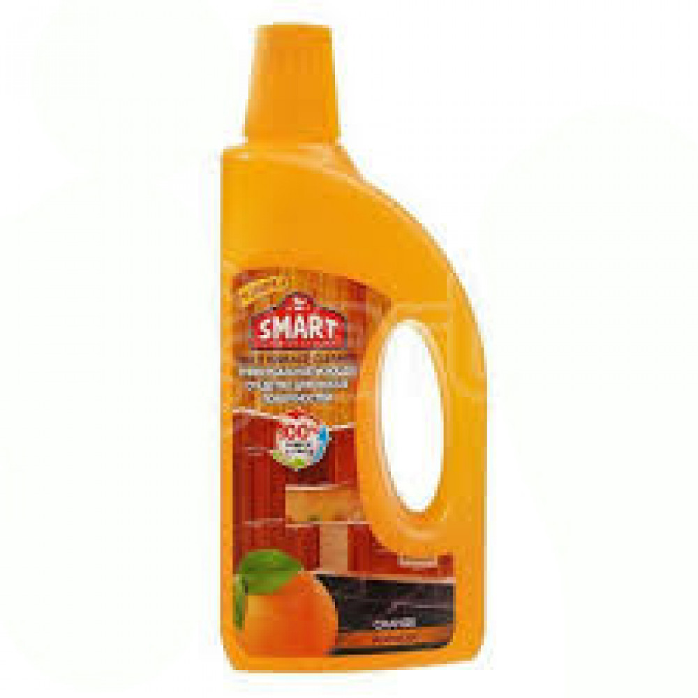 SMART 500ML TEMIZLEYICI VASITE PORTAGAL PL/Q