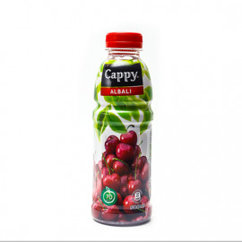 CAPPY 500ML ALBALI SIRESI PL/Q