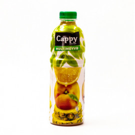 CAPPY 1LT MULTIMEYVE MEYVE SIRESI