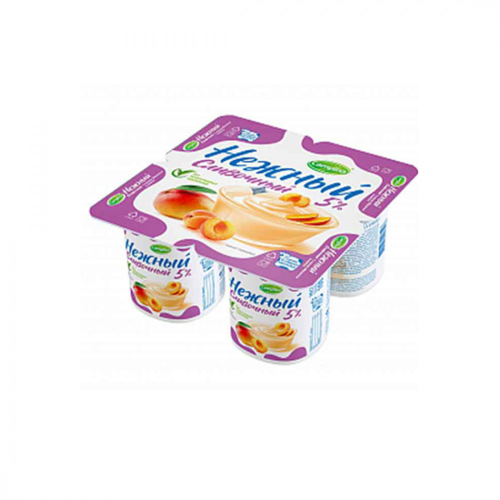 CAMPINA 100GR NEJNIY YOQURT 5% SLIVOCNIY ERIK-MANG