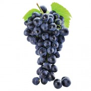 MVT.UZUM MERENDI QARA KG